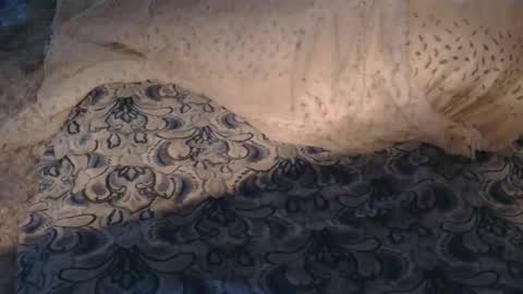 originalcali95 online show from 1, 3, 2026