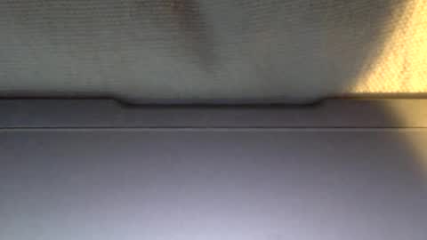 Snapshot of ottodick chatting on 21, 1, 2025 Otto online show from 21, 1, 2025