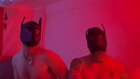 ozstryka online show from 2, 3, 2026