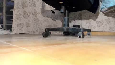 Pablo Meness online show from 17, 12, 2025