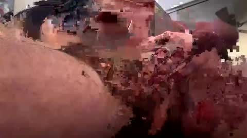 Snapshot of painter1142 chatting on 10, 2, 2025 Rothkohammer online show from 10, 2, 2025