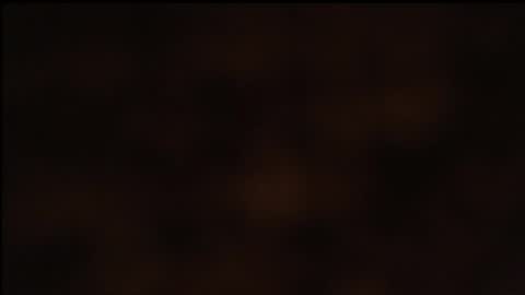 paiper online show from 26, 1, 2025