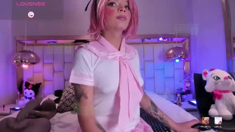 Palmer  online show from 13, 3, 2026