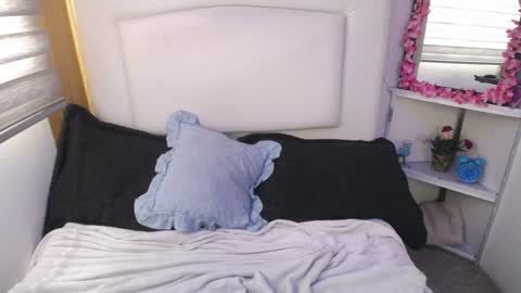 Snapshot of palmer_mix chatting on 28, 12, 2024 Palmer online show from 28, 12, 2024