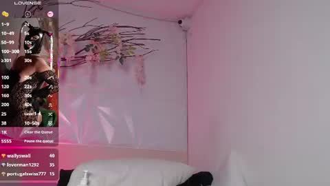 Pamela online show from 12, 7, 2026