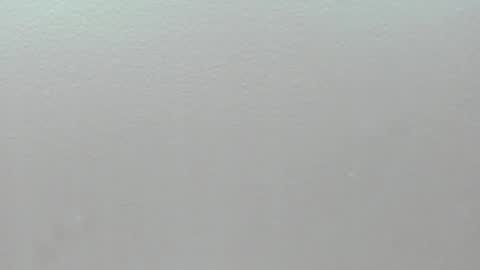 Snapshot of pamelaascott chatting on 1, 2, 2026 P A M online show from 1, 2, 2026