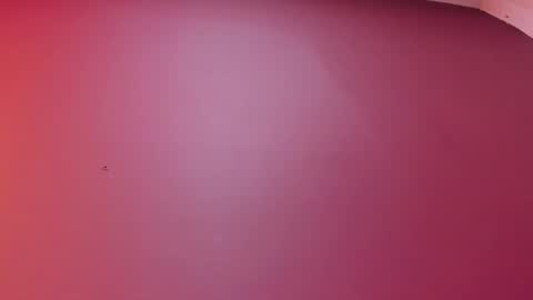 Snapshot of pamelaascott chatting on 17, 2, 2026 P A M online show from 17, 2, 2026