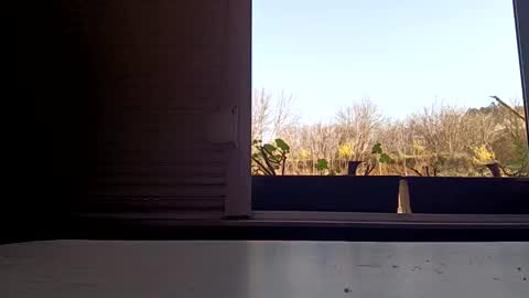 angel hris online show from 5, 4, 2026