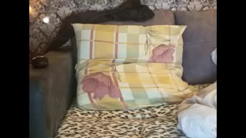 Pancamo online show from 1, 1, 2025