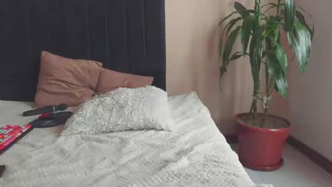 Paola Turner online show from 6, 3, 2025