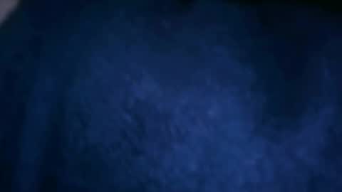 papilly online show from 9, 4, 2026