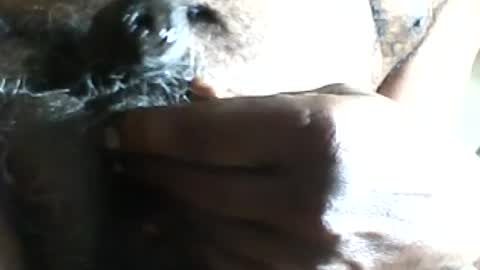 Snapshot of pappi_rambo chatting on 17, 7, 2026 pappi_rambo online show from 17, 7, 2026