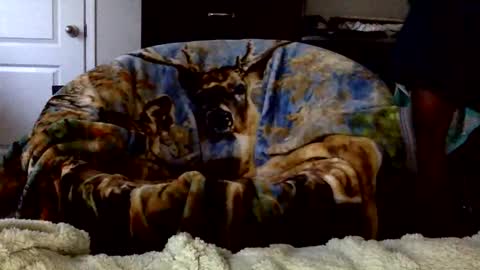 patdaddy12 online show from 16, 4, 2026