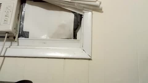 Snapshot of pato0008 chatting on 18, 12, 2024 JD online show from 18, 12, 2024