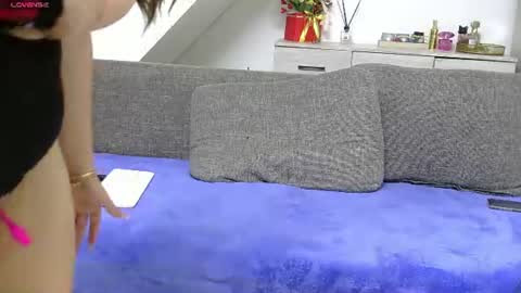   online show from 28, 7, 2026