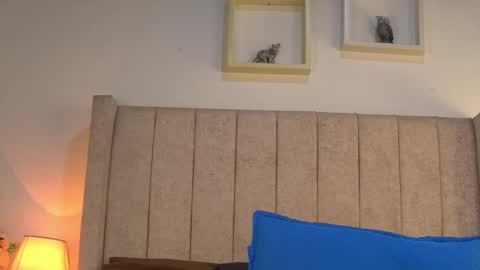 patty online show from 12, 3, 2026