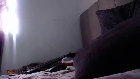 paula_willss online show from 2, 12, 2025