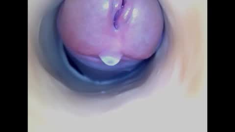 Paula 18 Aninhos online show from 19, 2, 2026