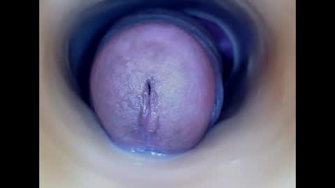 Paula 18 Aninhos online show from 24, 3, 2026