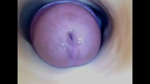 Paula 18 Aninhos online show from 15, 4, 2026