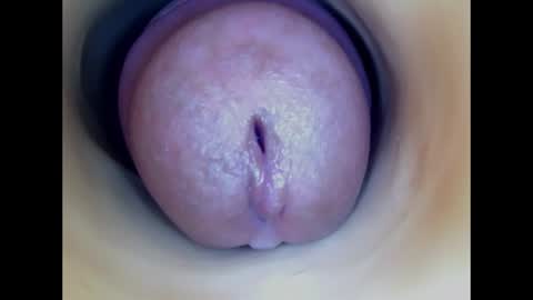 Paula 18 Aninhos online show from 15, 7, 2026