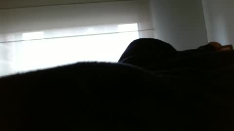 paulina online show from 10, 2, 2025