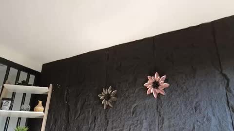 Paulo online show from 17, 1, 2026