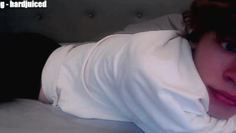 pawclaw online show from 10, 4, 2026