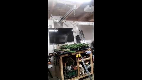 pawelniceguy online show from 19, 1, 2026