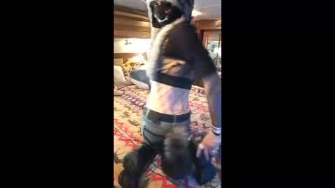 Pearl online show from 19, 4, 2026