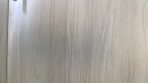 pecsblack888 online show from 4, 12, 2025