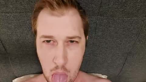 NordicBullForMilking online show from 20, 7, 2026