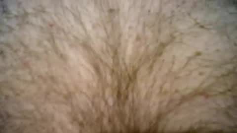 peterpeteropoulos online show from 27, 2, 2025