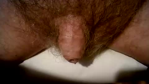 peterpeteropoulos online show from 8, 3, 2025