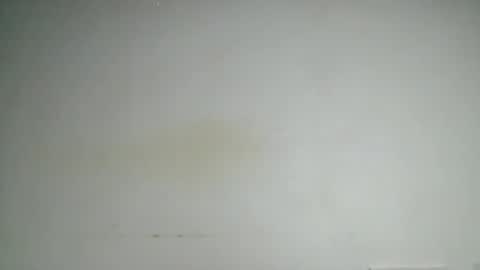 petitgirl88 online show from 24, 6, 2026