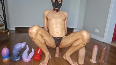 Snapshot of petsexboy chatting on 10, 6, 2026 petsexboy online show from 10, 6, 2026