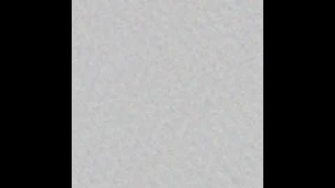 peytonn_monroe online show from 8, 10, 2025