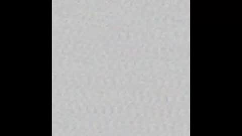 peytonn_monroe online show from 11, 11, 2025