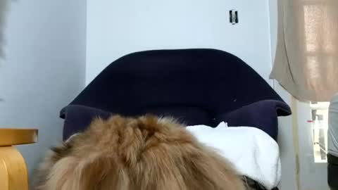 TheSkyeWoods online show from 9, 12, 2024