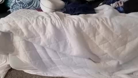 Snapshot of phillipdee chatting on 7, 1, 2026 phillipdee online show from 7, 1, 2026