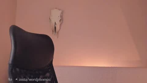 Snapshot of phoenixx_x chatting on 28, 12, 2024 phoenixx_x online show from 28, 12, 2024