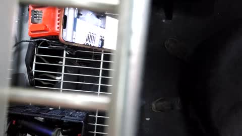 Snapshot of pickleback69 chatting on 21, 9, 2025 pickleback69 online show from 21, 9, 2025