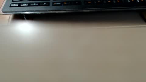 pier49x online show from 22, 12, 2024