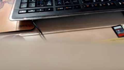 pier49x online show from 11, 9, 2025