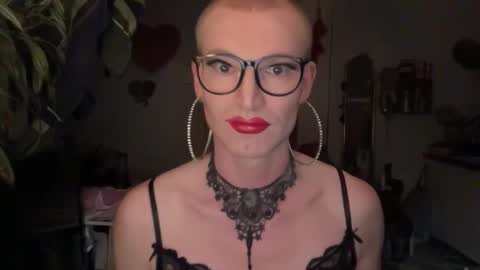 pinkfag online show from 4, 11, 2025