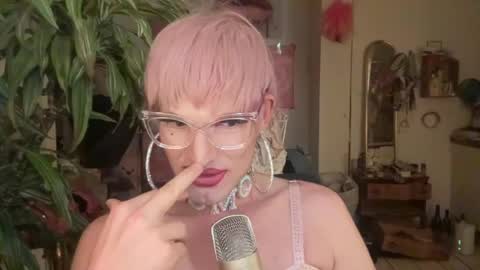 pinkfag online show from 15, 6, 2026