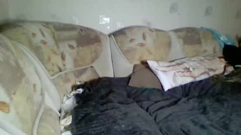 Snapshot of pinochetti chatting on 3, 1, 2025 Incubus online show from 3, 1, 2025