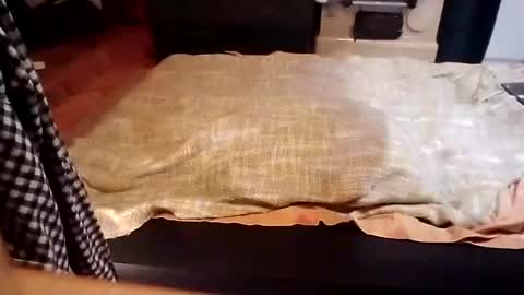 Snapshot of pisces922 chatting on 10, 1, 2025 Dominik online show from 10, 1, 2025