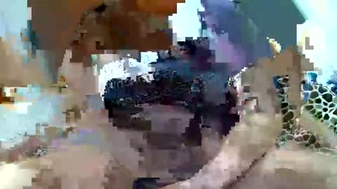 Snapshot of pislezg1 chatting on 7, 2, 2025 pislezg1 online show from 7, 2, 2025