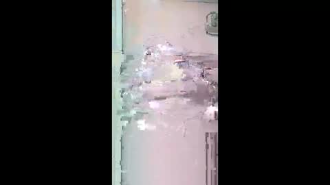 pitoloko73 online show from 5, 4, 2026